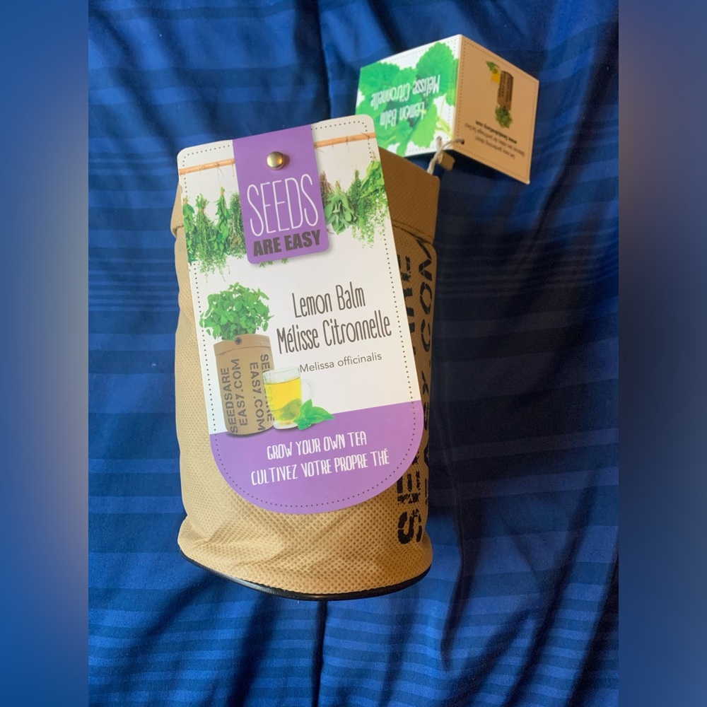 Grow your own lemon balm tea